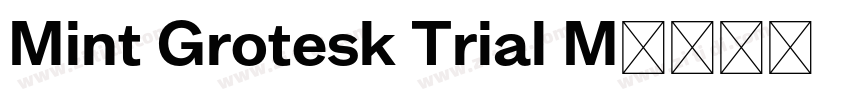 Mint Grotesk Trial M字体转换